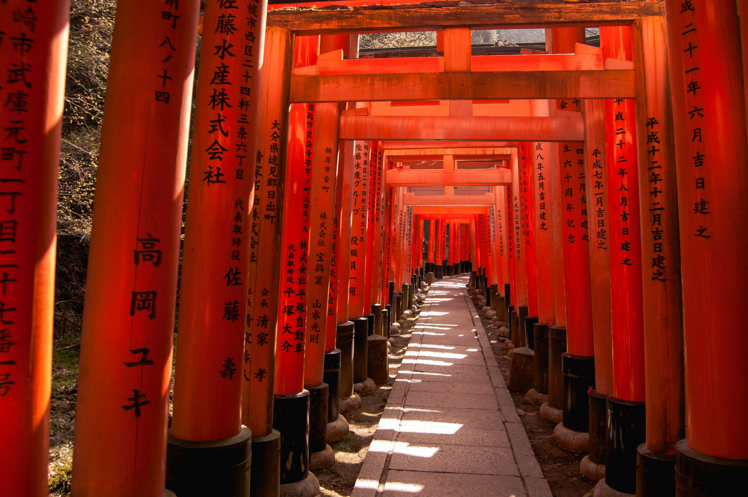 Japan Cultural & Scenic Journey